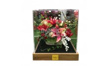 กล่องโมเดลโชว์สินค้า-กล่องใส่ของสะสม-ฐานไม้สักเเท้